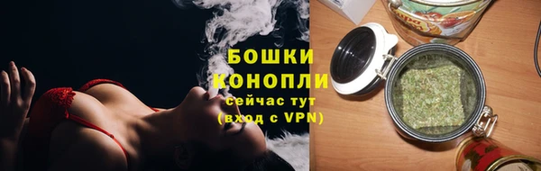 бошки Бронницы