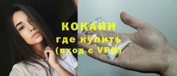 бошки Бронницы