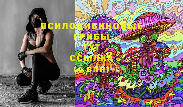 гашик Белокуриха