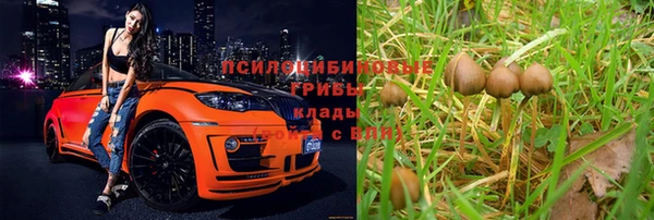 ALPHA-PVP Верхний Тагил