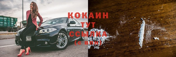 бошки Бронницы