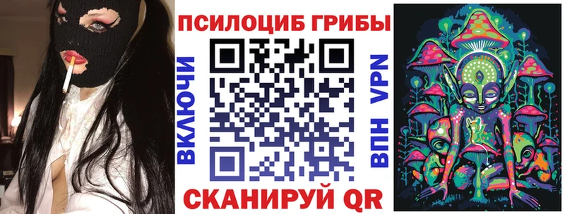 Псилоцибиновые грибы мицелий  Высоцк 